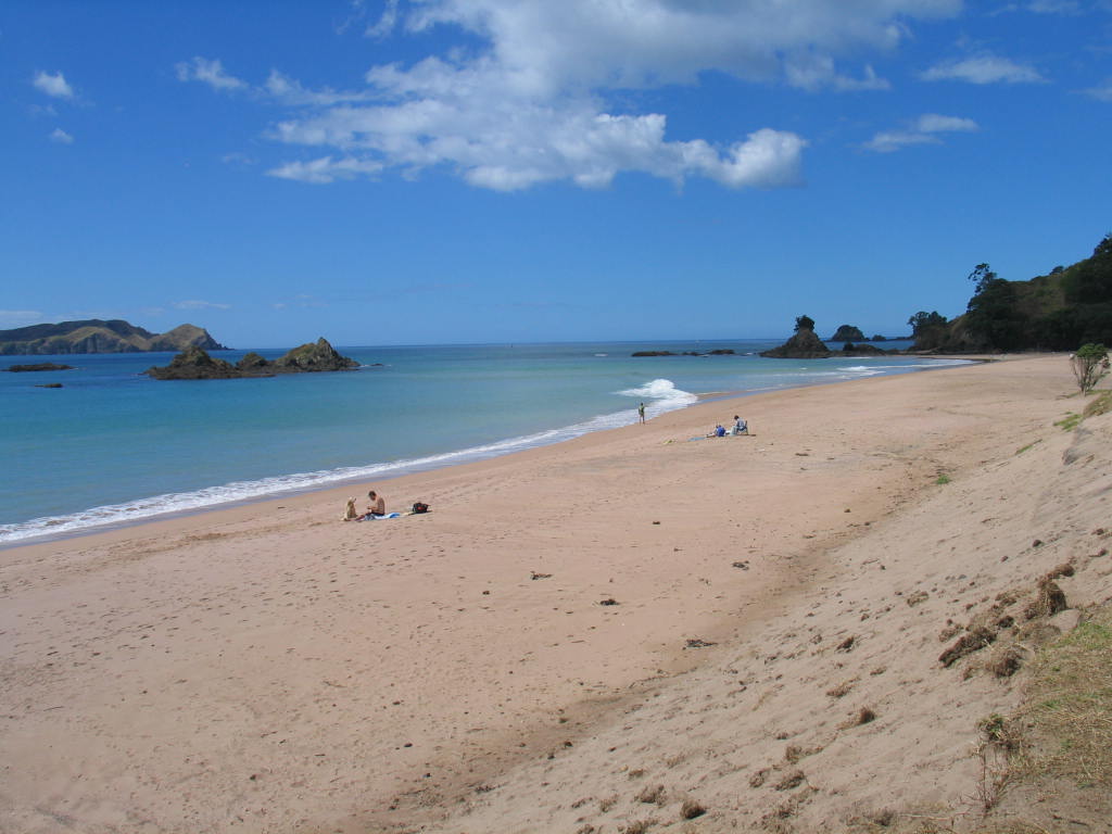 Beautiful day at Tauranga Bay, Far North, North Island, New Zealand