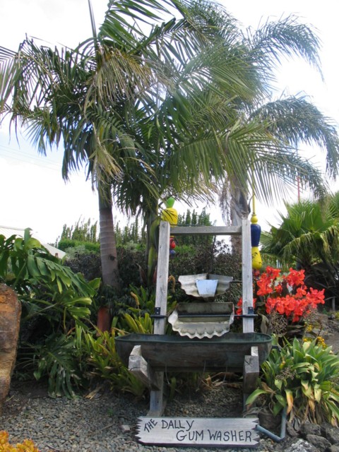 Dally Gum Washer, Kerikeri, Far North, North Island, New Zealand