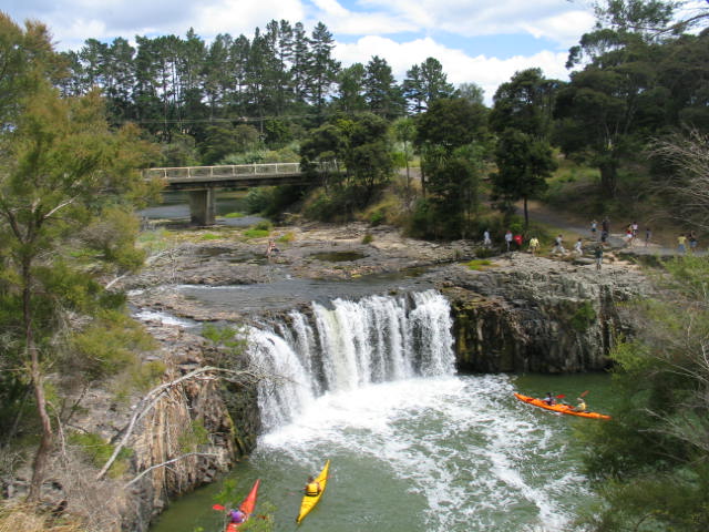 Haruru Falls lily pond. Far North, North Island, New Zealand