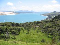 Hokianga Harbour, Far North, New Zealand