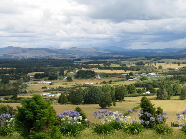 Kaikohe countryside. Far North, North Island, New Zealand