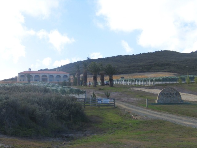 Karikari Estate Winery. Far North, North Island, New Zealand