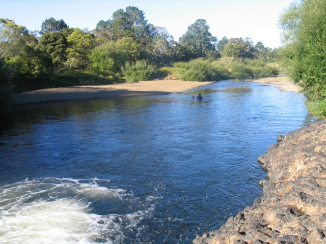 Haruru Falls lily pond. Far North, North Island, New Zealand