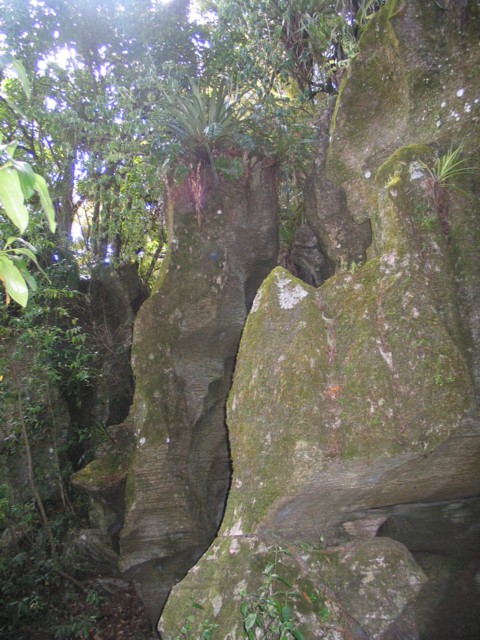 Limestone Pillars