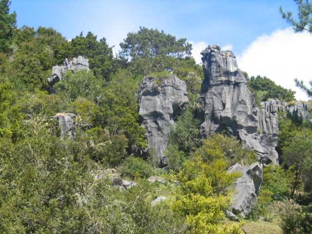 Waiomio Limestone Formations
