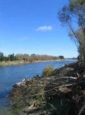 Palmerston North, North Island, New Zealand