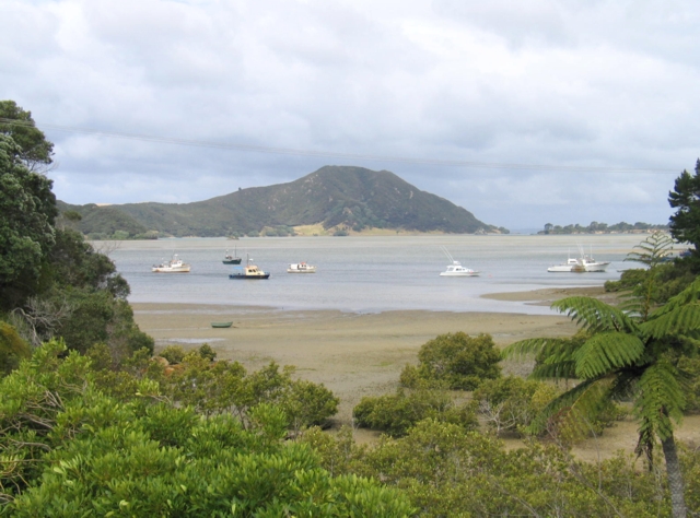 Mt Camel, prominent landmark at the Houhora Harbour entrance. Far North, North Island, New Zealand