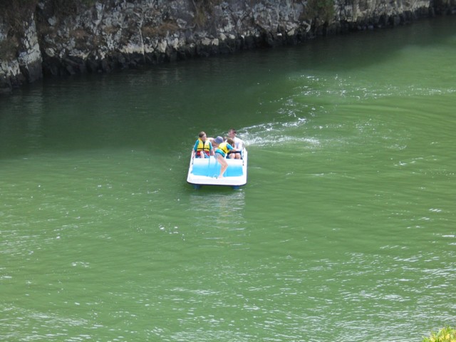 Haruru Falls offers activities and attractions for many. Far North, North Island, New Zealand. A
