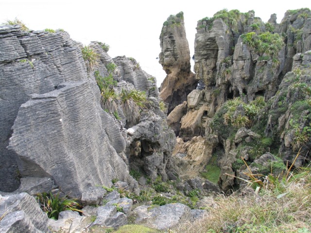 Punakaiki, Buller, South Island, New Zealand 1 