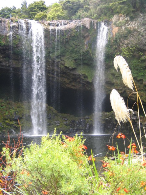 Rainbow Falls, Kerikeri, Far North, North Island, New Zealand
