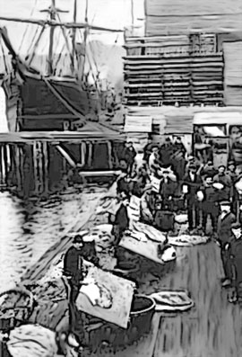 Sealers after a successful day hunting