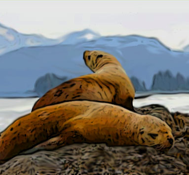 Seals