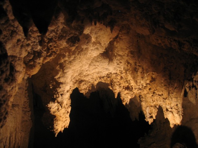 Stalagmites Kawiti Caves Waiomio