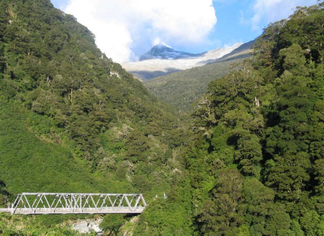 Westland, South Island, New Zealand