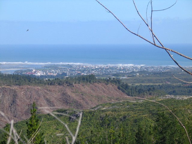 Westland, South Island, New Zealand