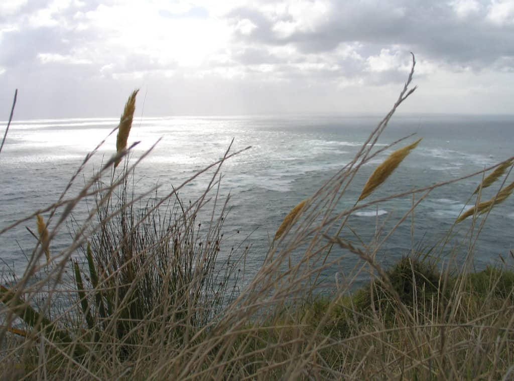 Columbia Bank where the Pacific Ocean and Tasaman Sea meet. Far North, North Island, New Zealand Columbia Bank where the Pacific Ocean and Tasaman Sea meet. Far North, North Island, New Zealand