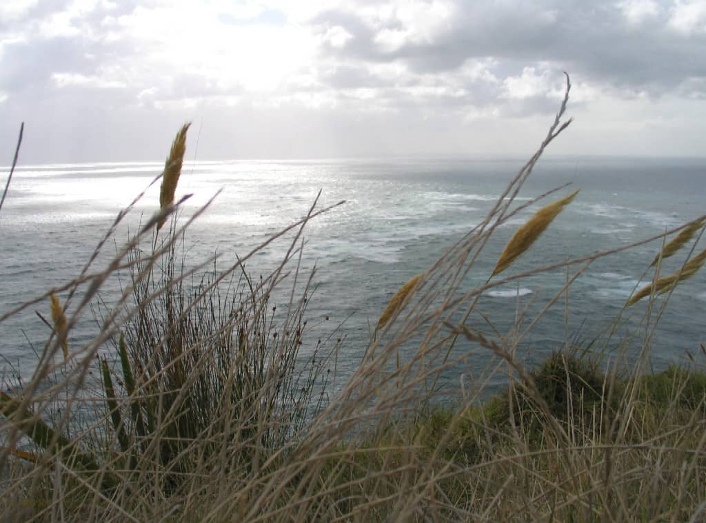 Columbia Bank where the Pacific Ocean and Tasaman Sea meet. Far North, North Island, New Zealand